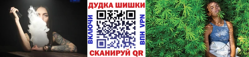 Конопля индика  Аргун 